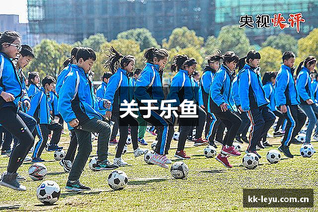 关于乐鱼